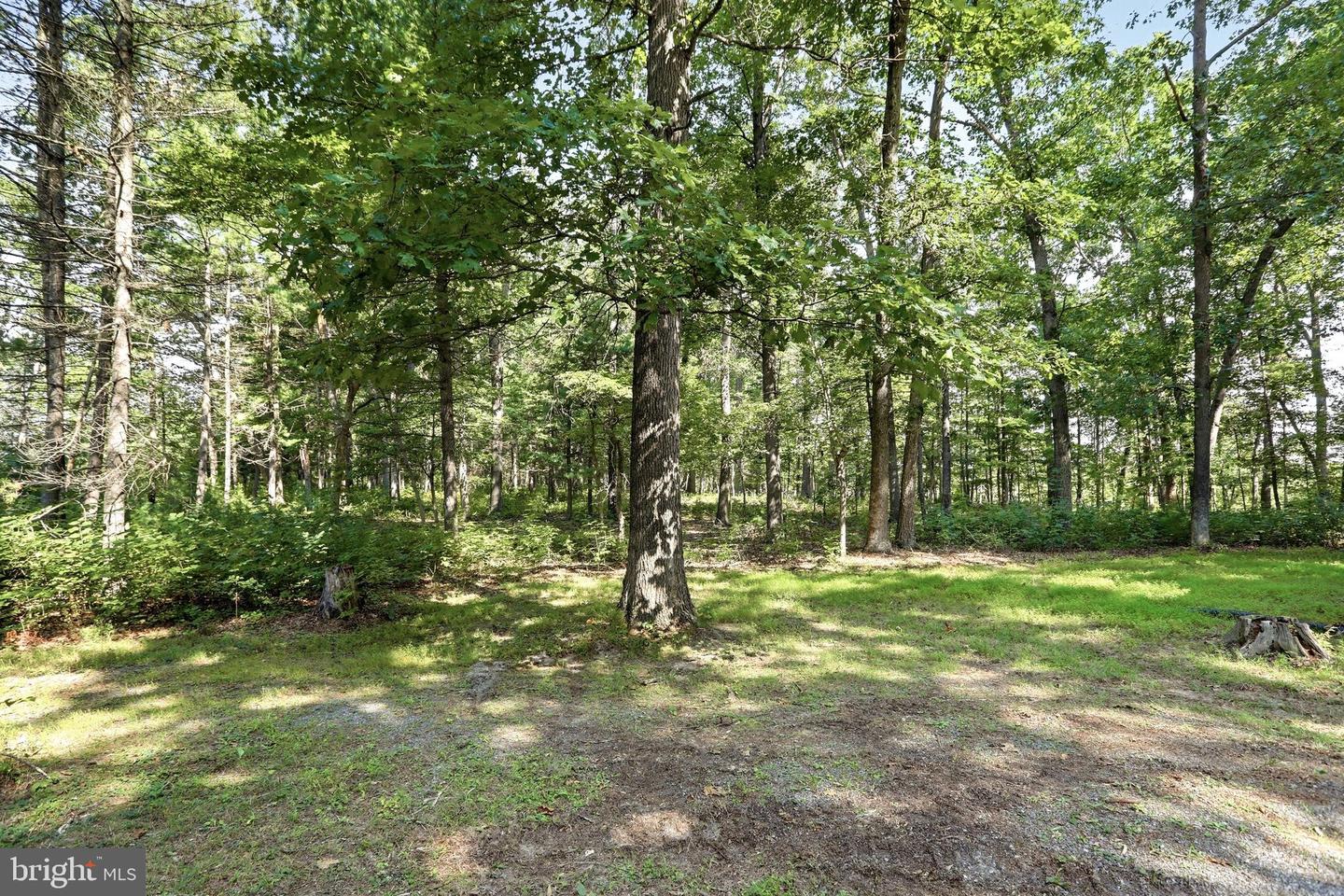 547 Twin Flower Ln Property Photo 36