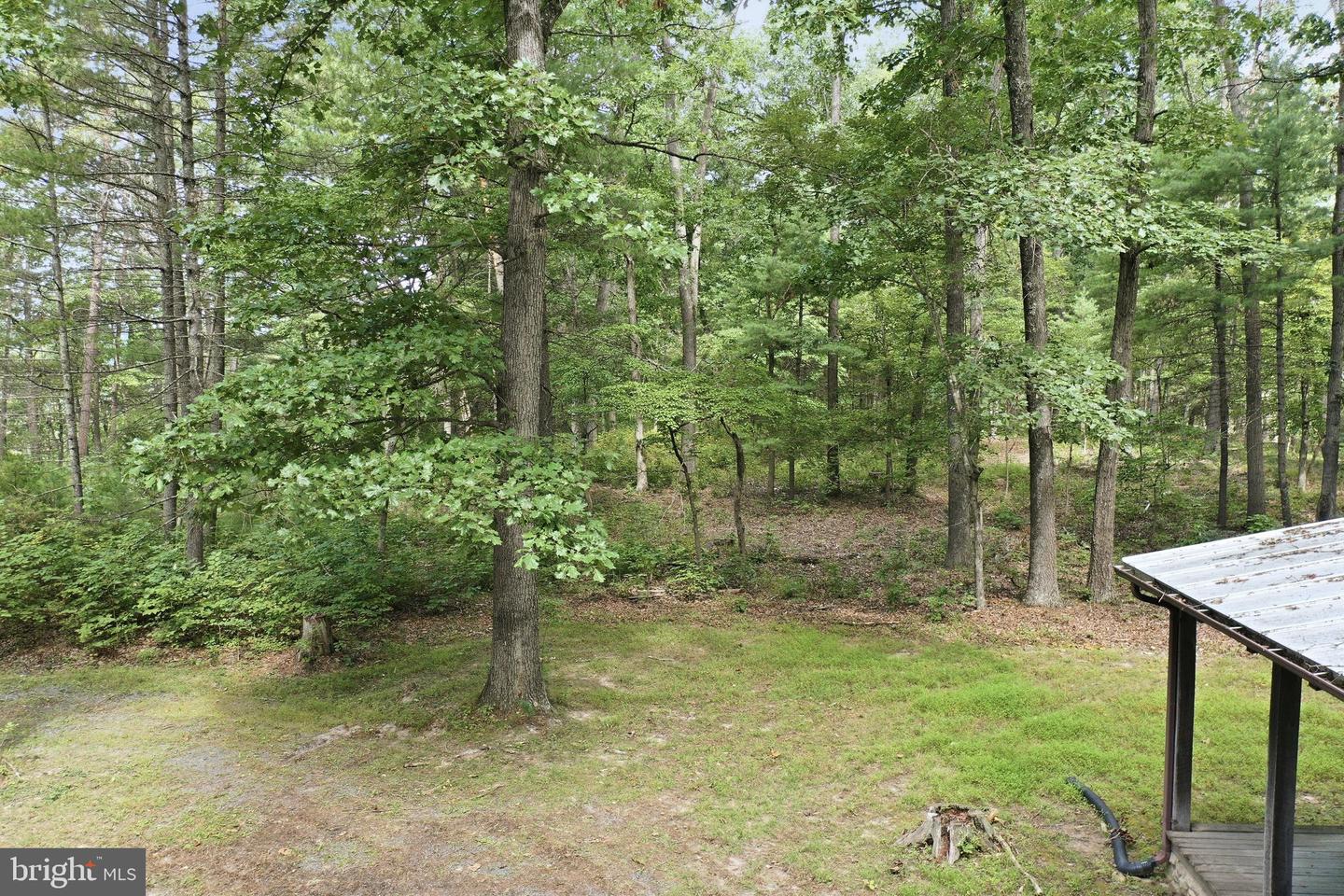 547 Twin Flower Ln Property Photo 50