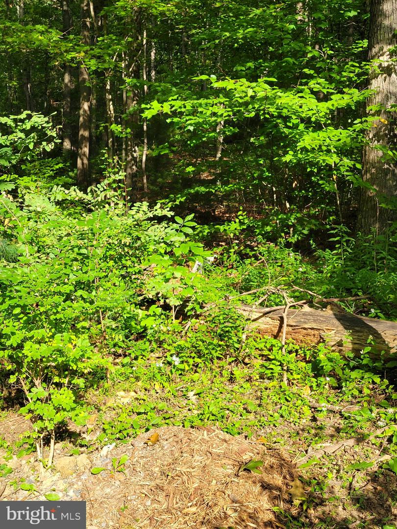 99 Riggs Hollow Rd Property Photo 26