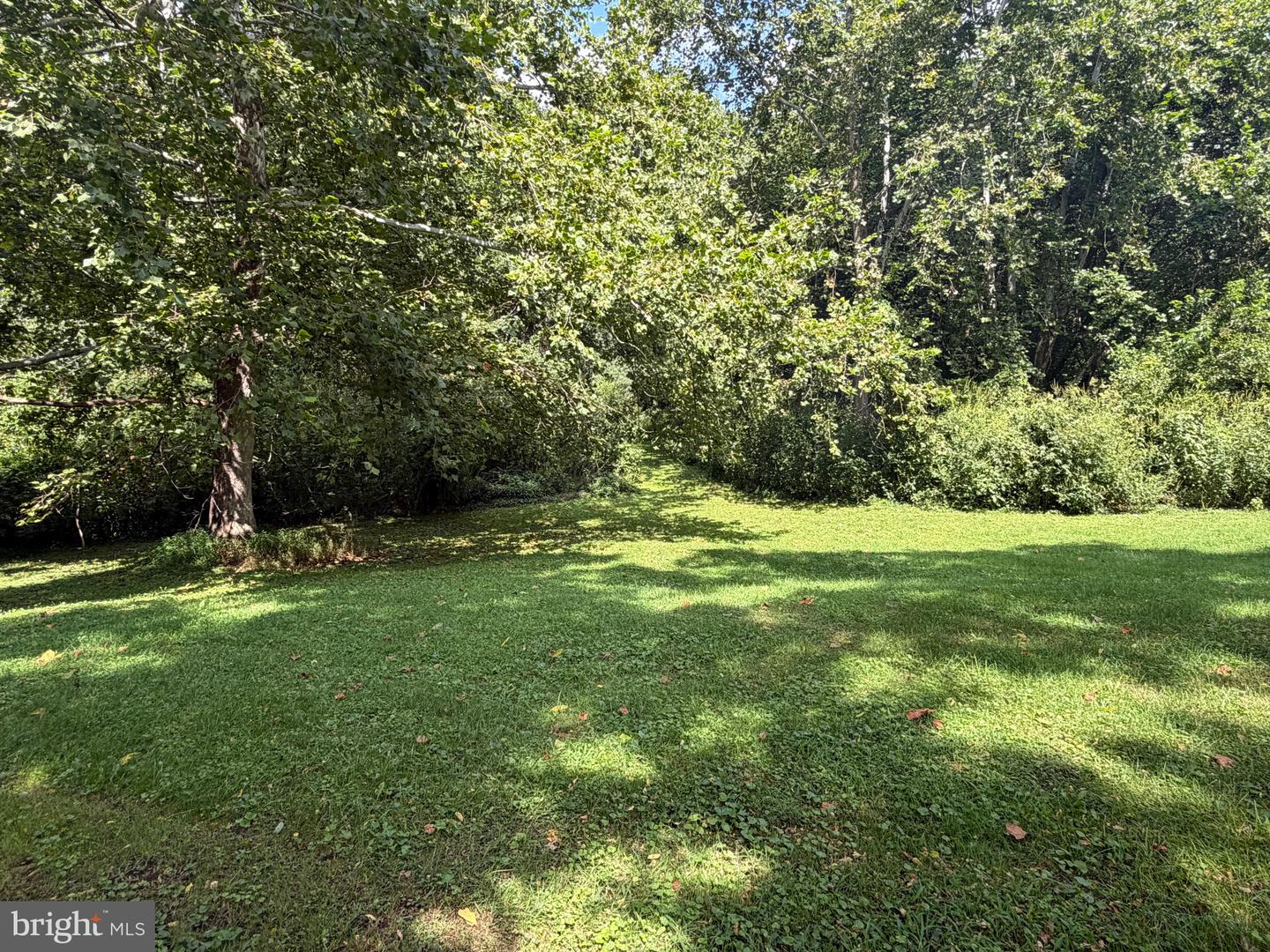 Washington Bottom Road Property Photo 30