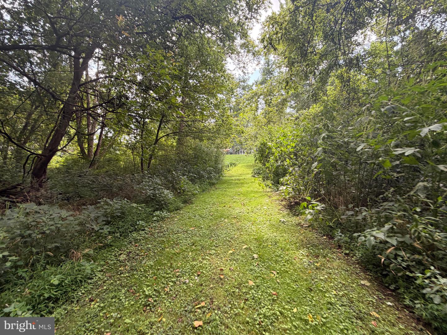 Washington Bottom Road Property Photo 32