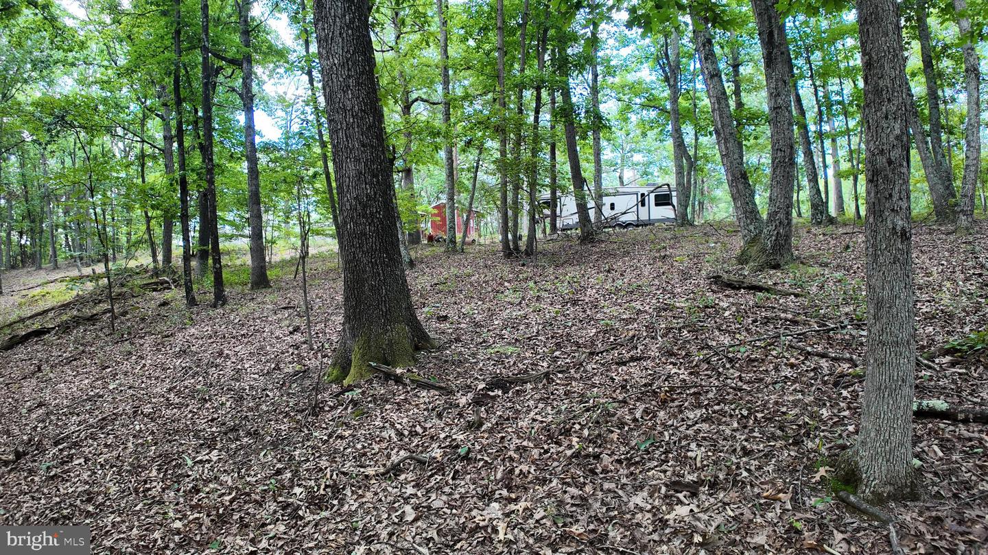 1552 Old Smith Farm Rd Property Photo 3