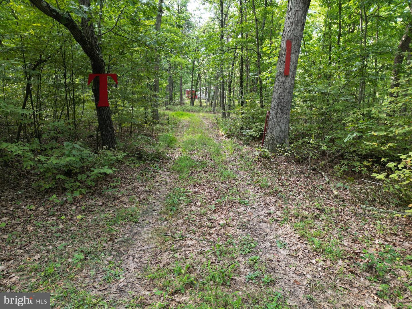 1552 Old Smith Farm Rd Property Photo 5