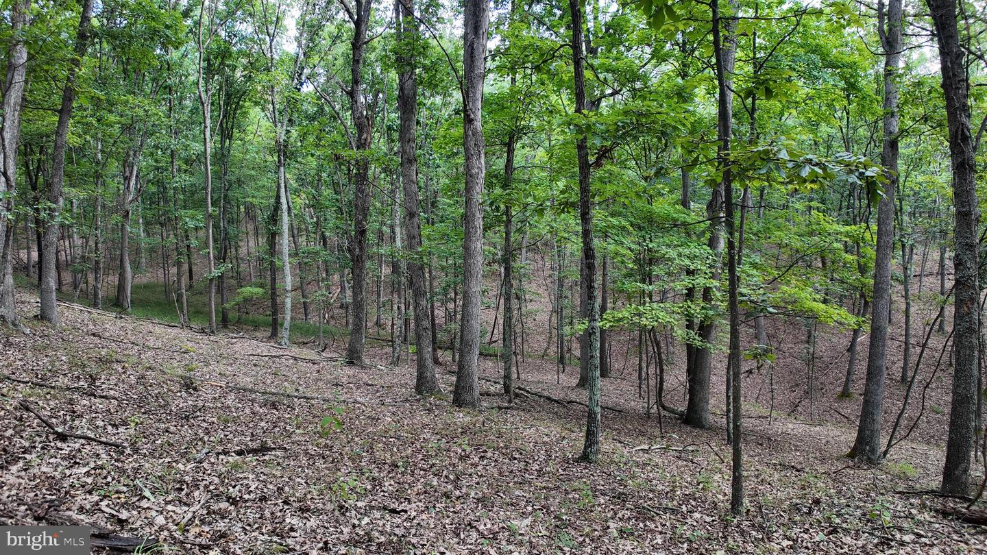 1552 Old Smith Farm Rd Property Photo 21