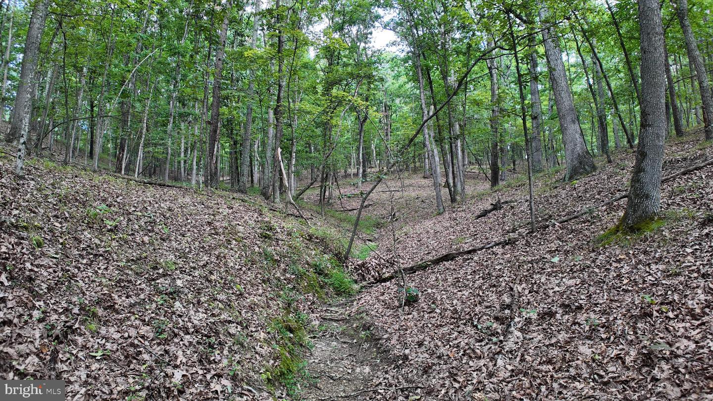 1552 Old Smith Farm Rd Property Photo 23