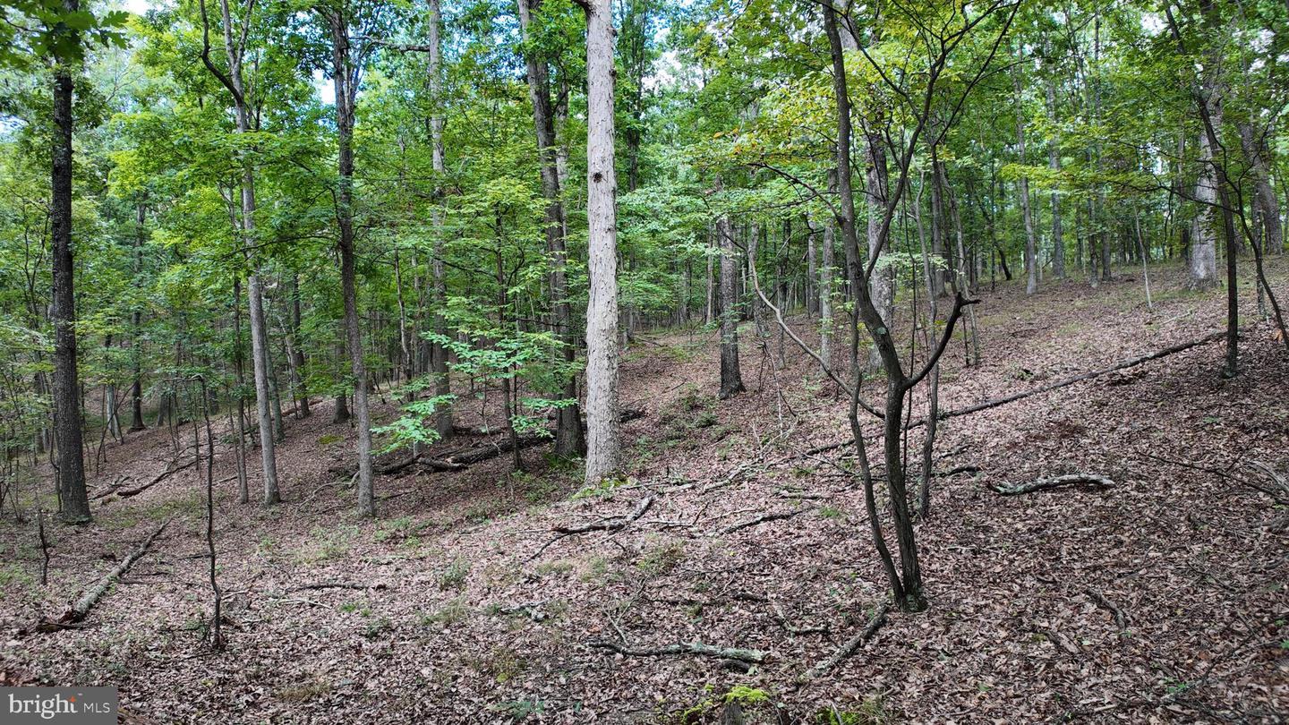 1552 Old Smith Farm Rd Property Photo 25