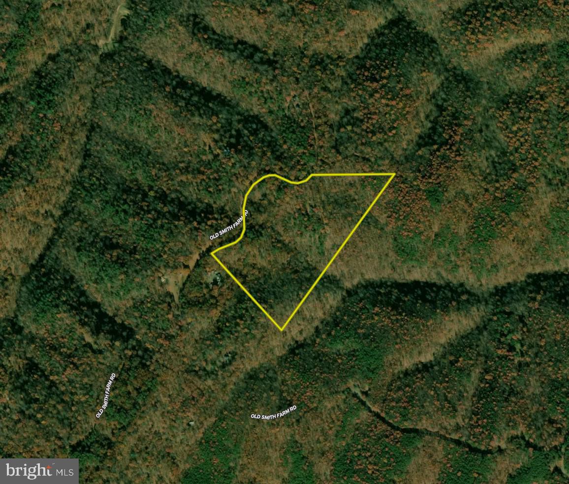 1552 Old Smith Farm Rd Property Photo 32