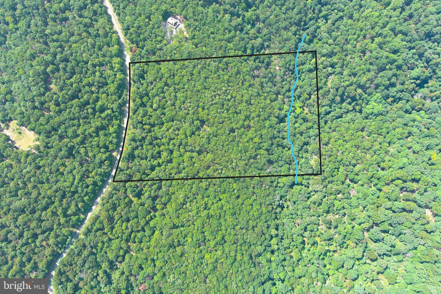 218 Bluffs On The Potomac Property Photo 3