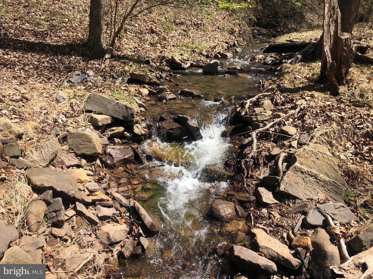 218 Bluffs On The Potomac Property Photo 10