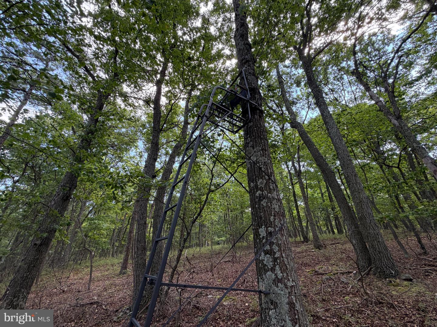 218 Bluffs On The Potomac Property Photo 16