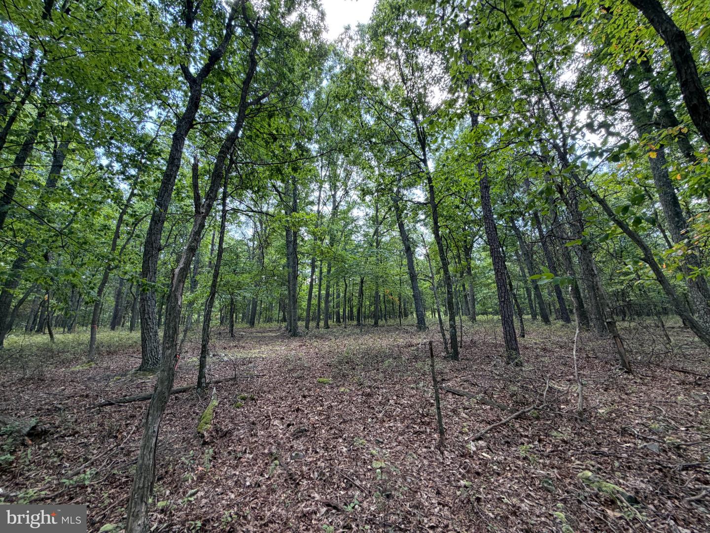 218 Bluffs On The Potomac Property Photo 17