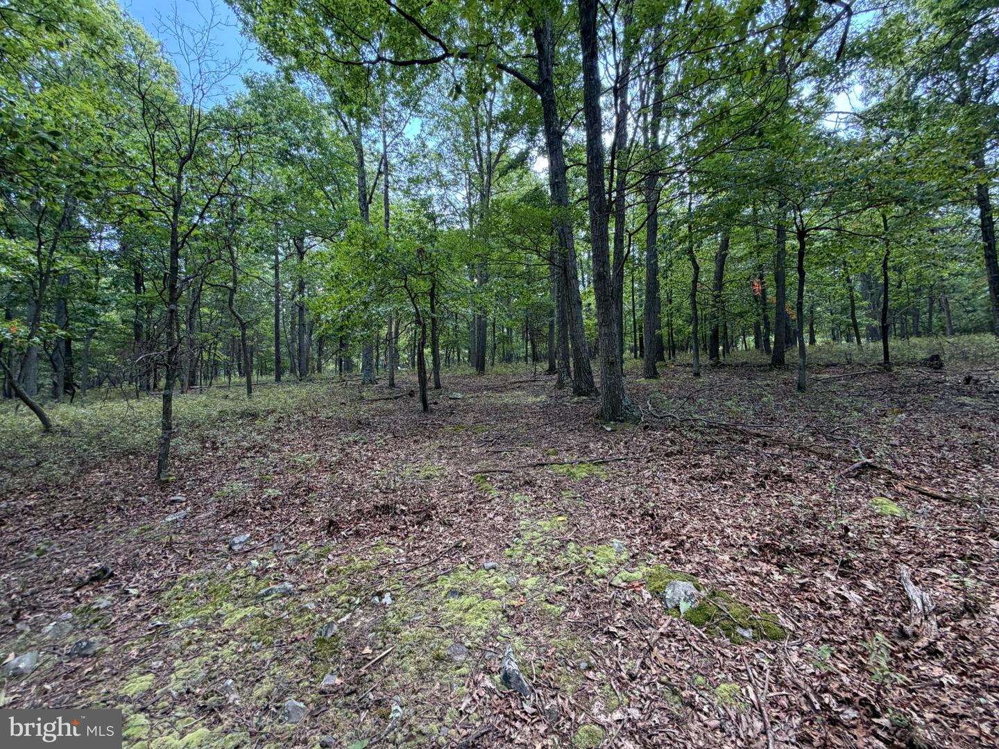 218 Bluffs On The Potomac Property Photo 18
