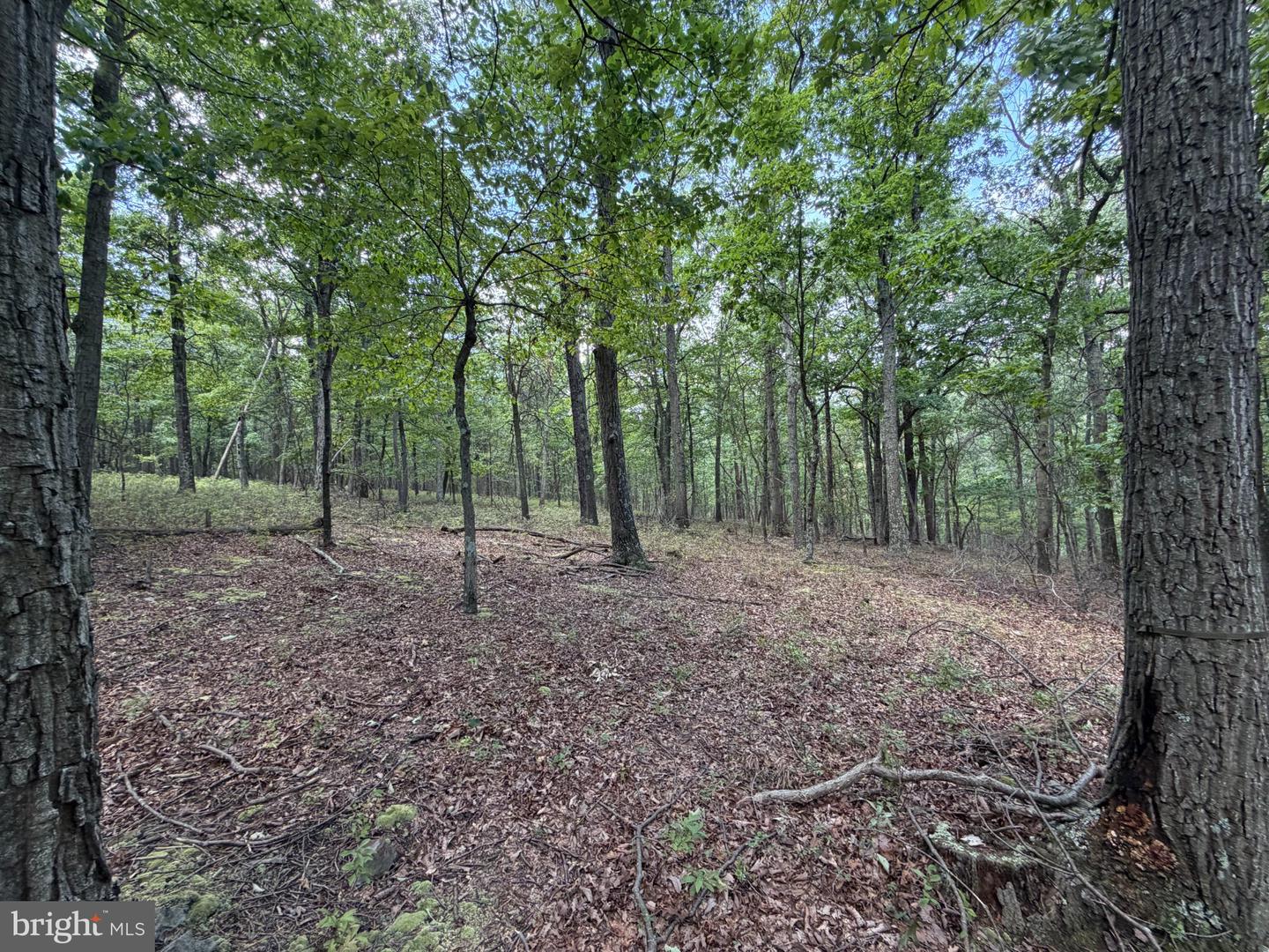 218 Bluffs On The Potomac Property Photo 19