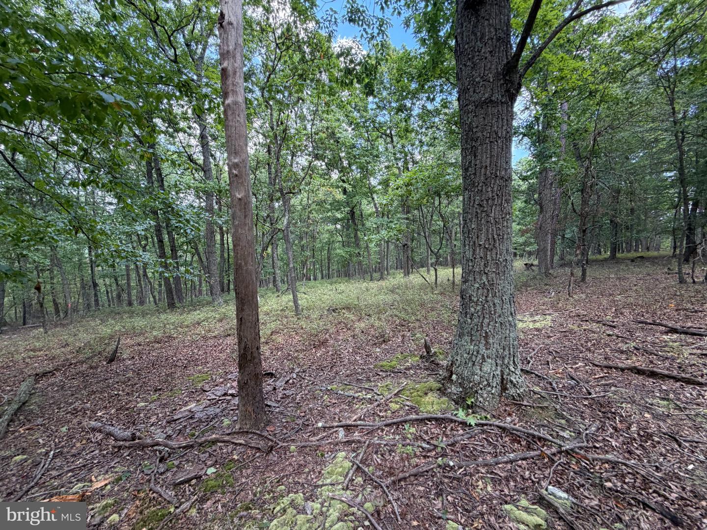 218 Bluffs On The Potomac Property Photo 20