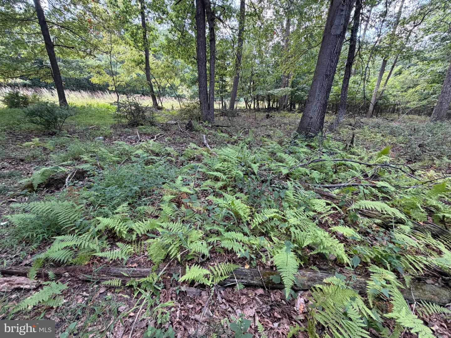 218 Bluffs On The Potomac Property Photo 22