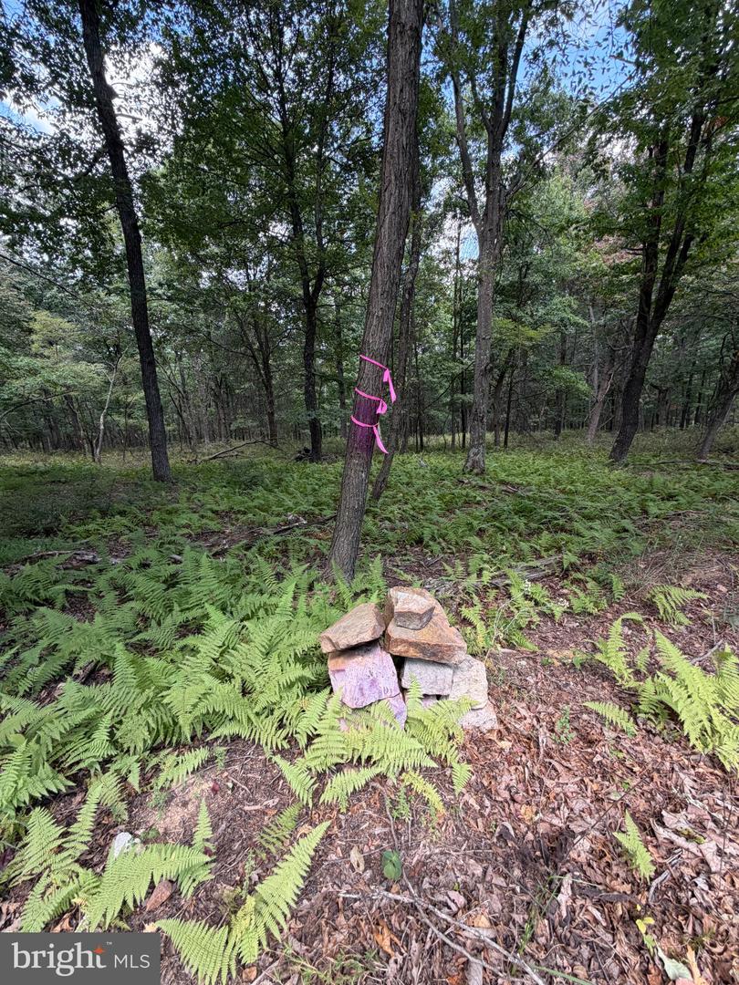 218 Bluffs On The Potomac Property Photo 23