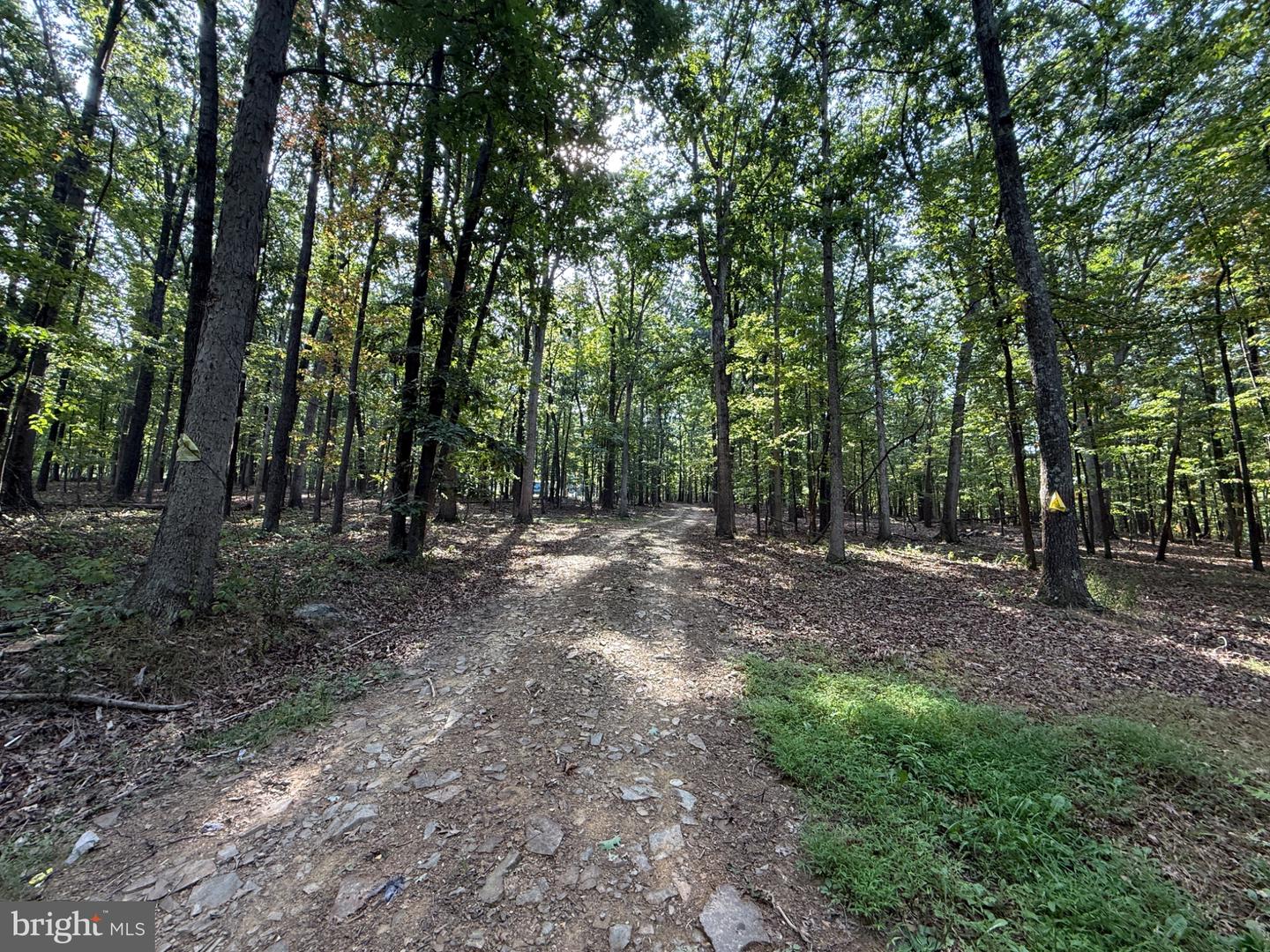 6376 Spring Gap Rd Property Photo 1