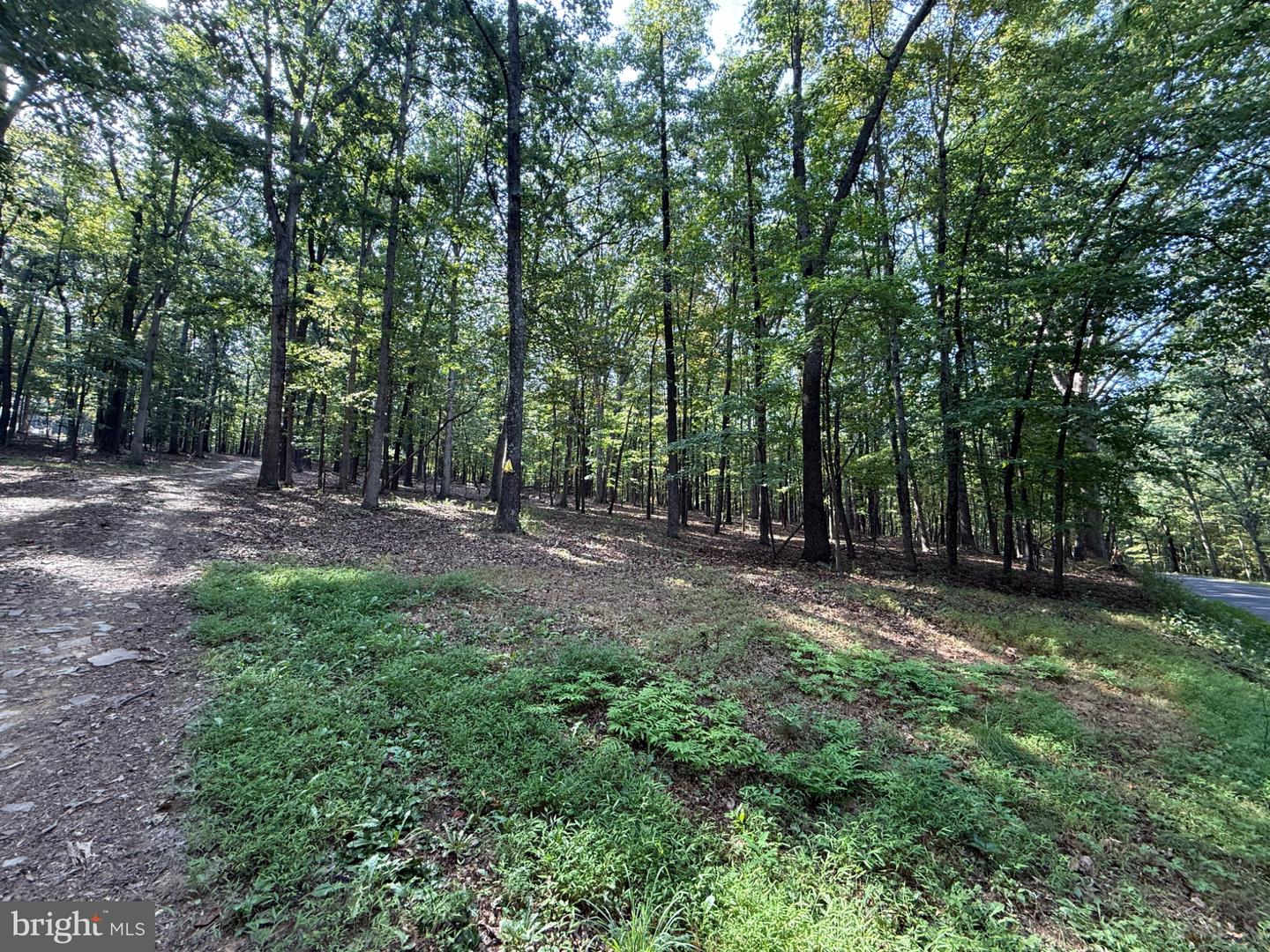6376 Spring Gap Rd Property Photo 2