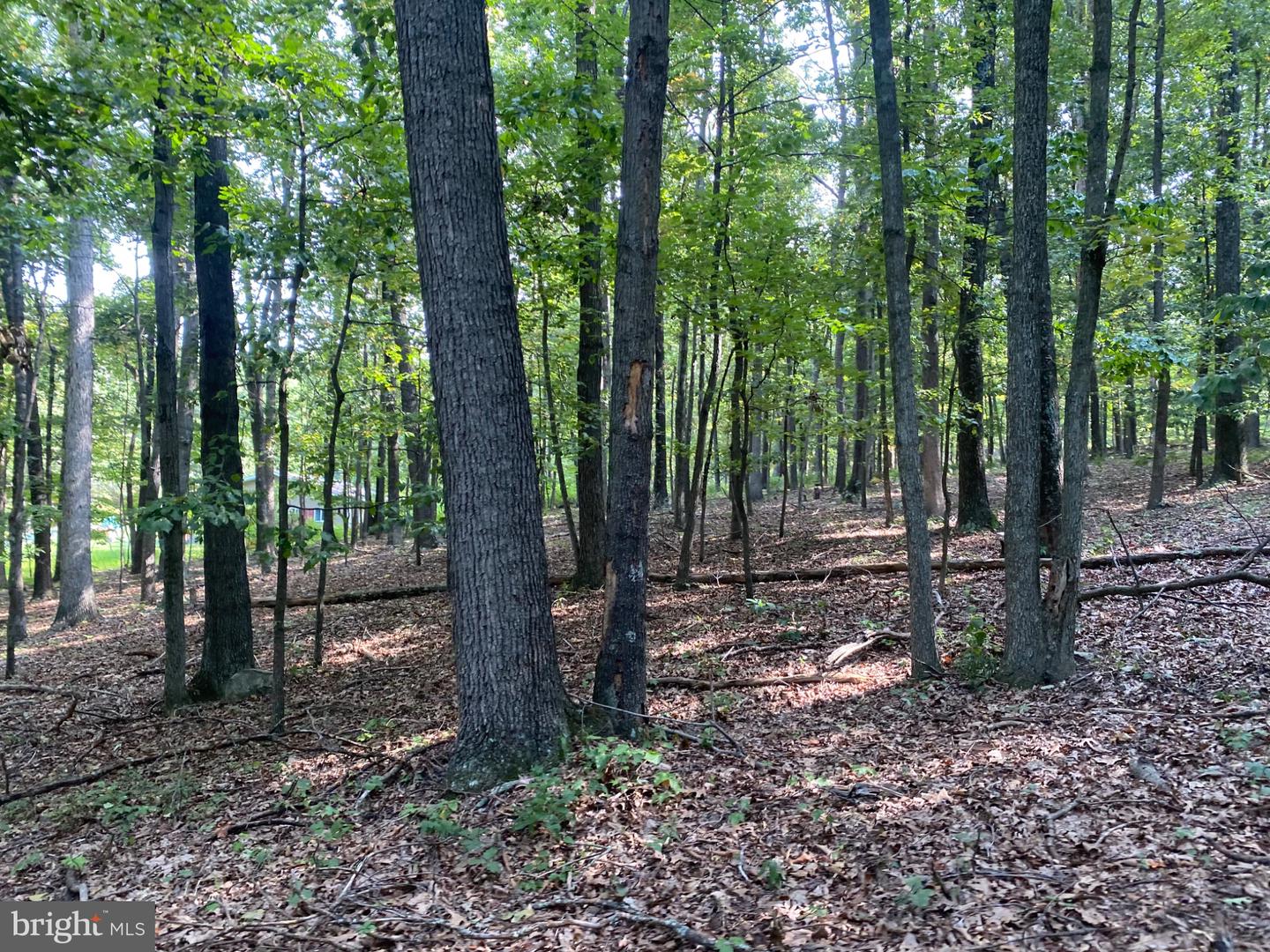 6376 Spring Gap Rd Property Photo 3