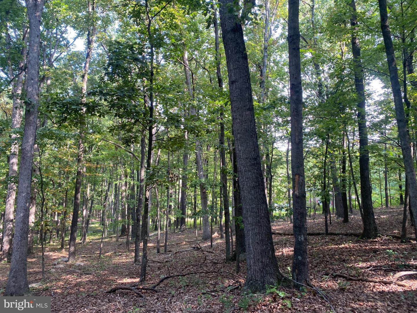 6376 Spring Gap Rd Property Photo 4