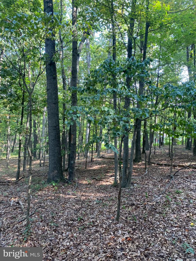 6376 Spring Gap Rd Property Photo 5