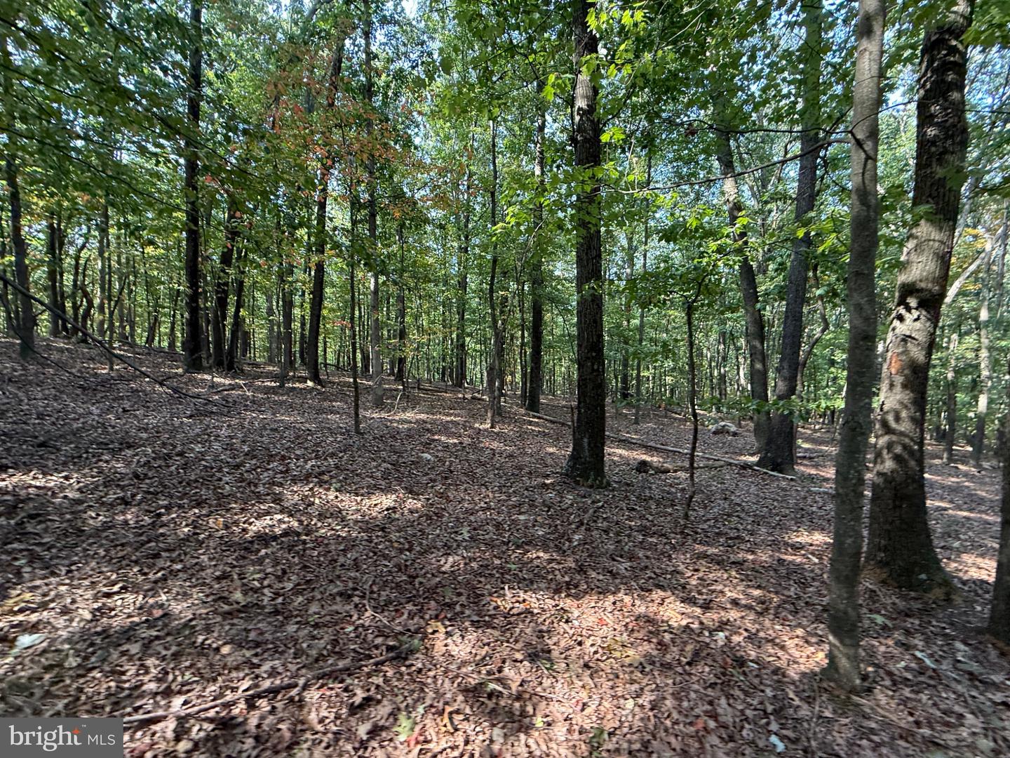 6376 Spring Gap Rd Property Photo 6