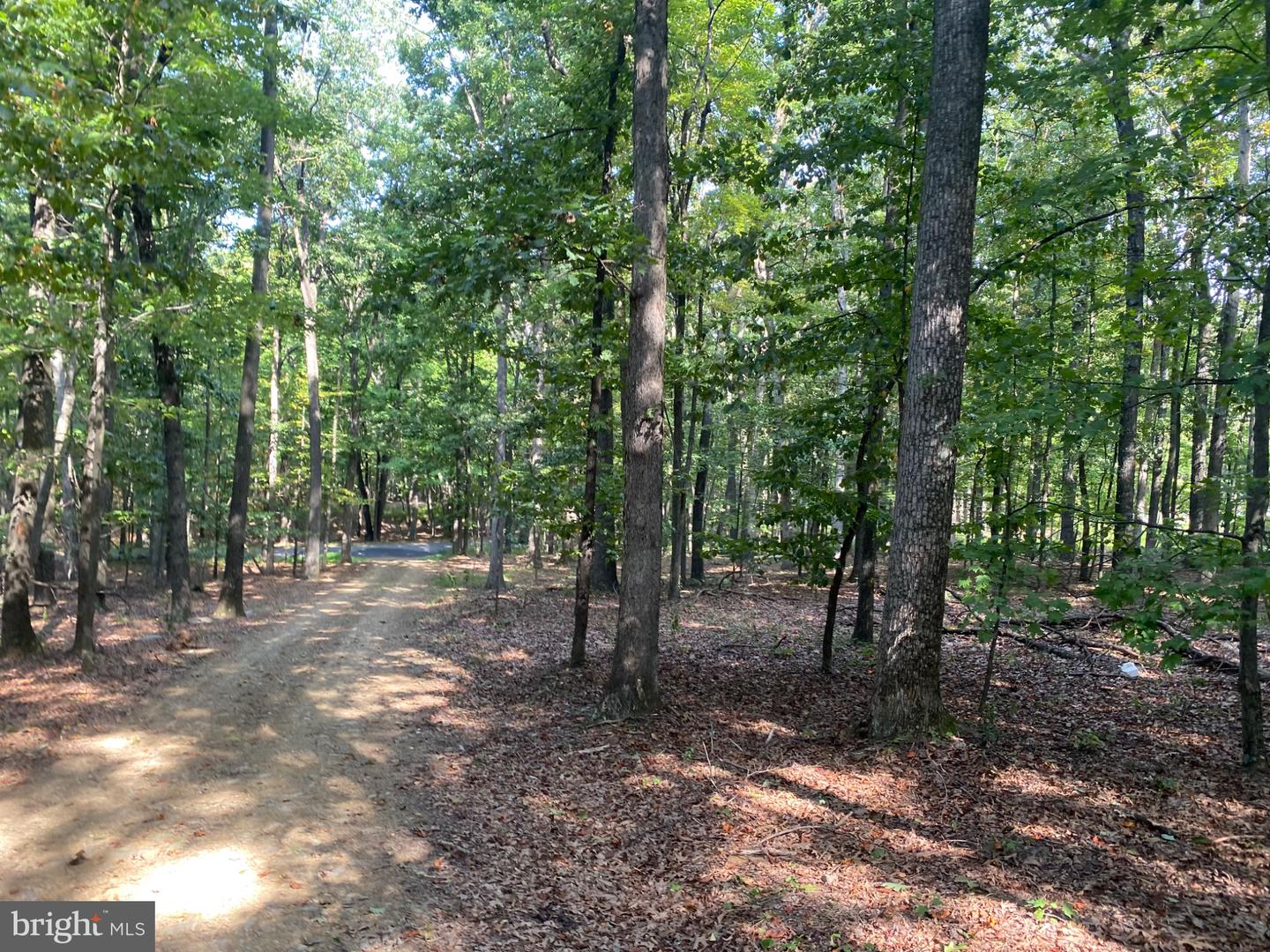 6376 Spring Gap Rd Property Photo 7