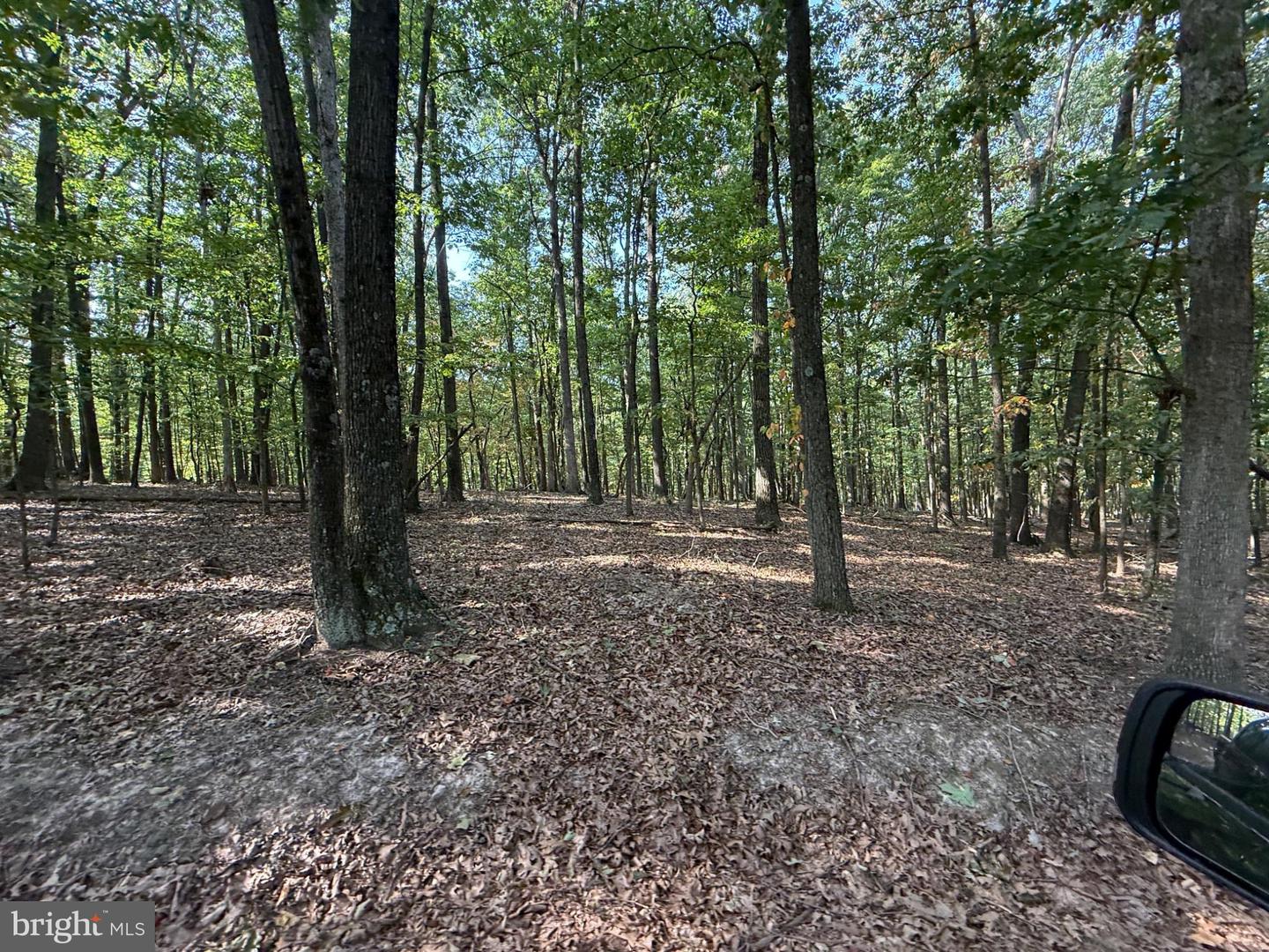 6376 Spring Gap Rd Property Photo 9