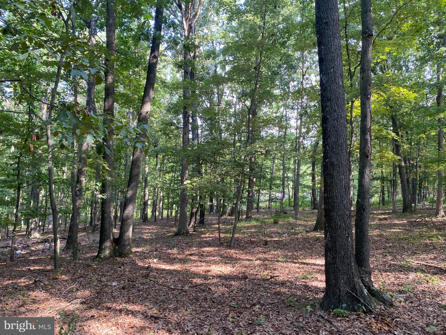 6376 Spring Gap Rd Property Photo 10