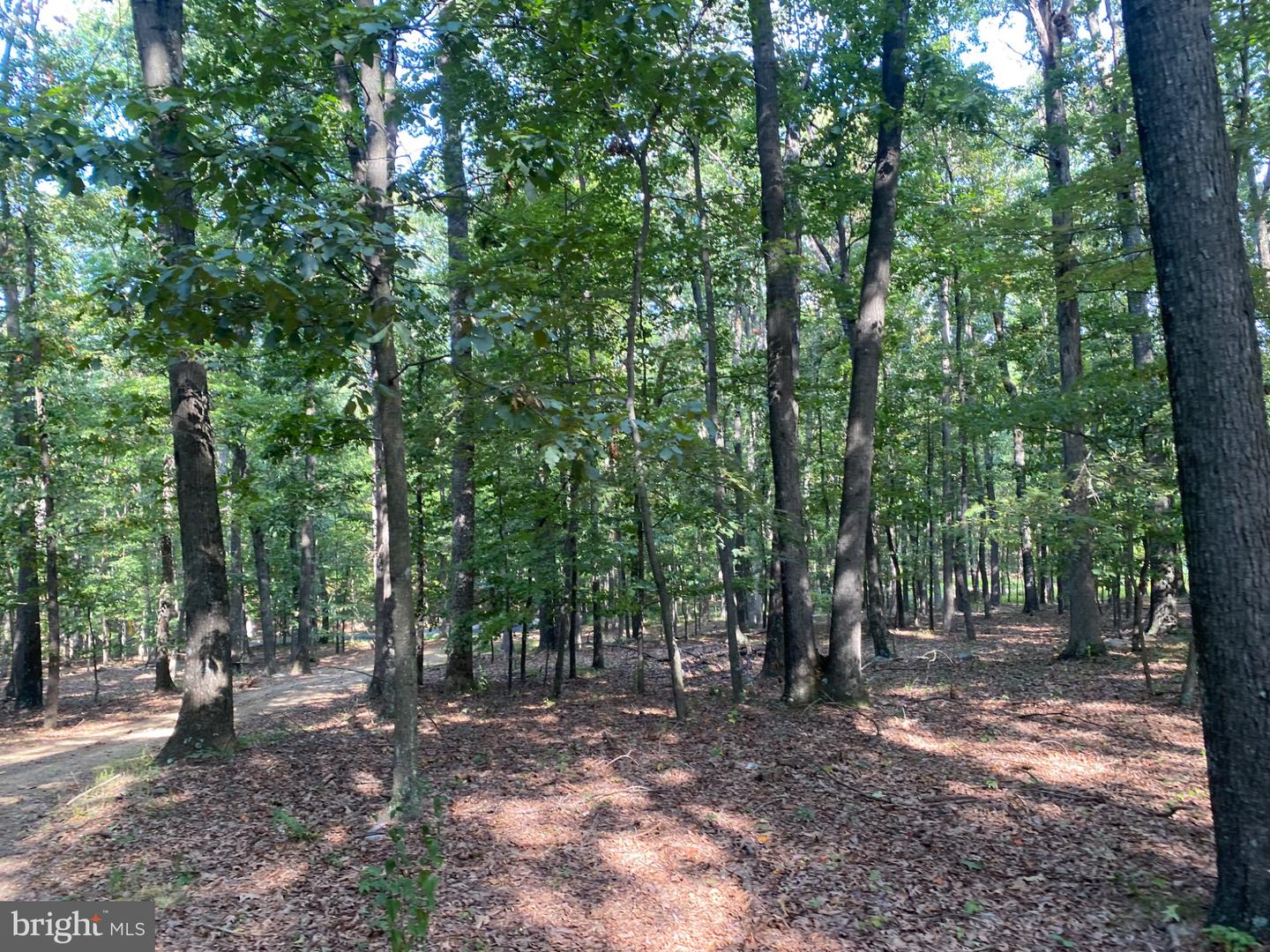 6376 Spring Gap Rd Property Photo 11