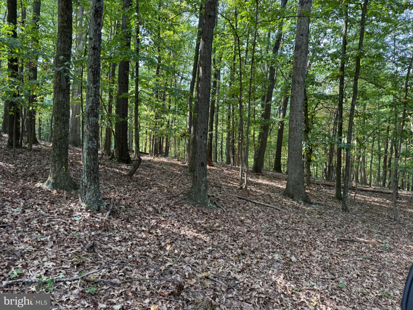 6376 Spring Gap Rd Property Photo 12
