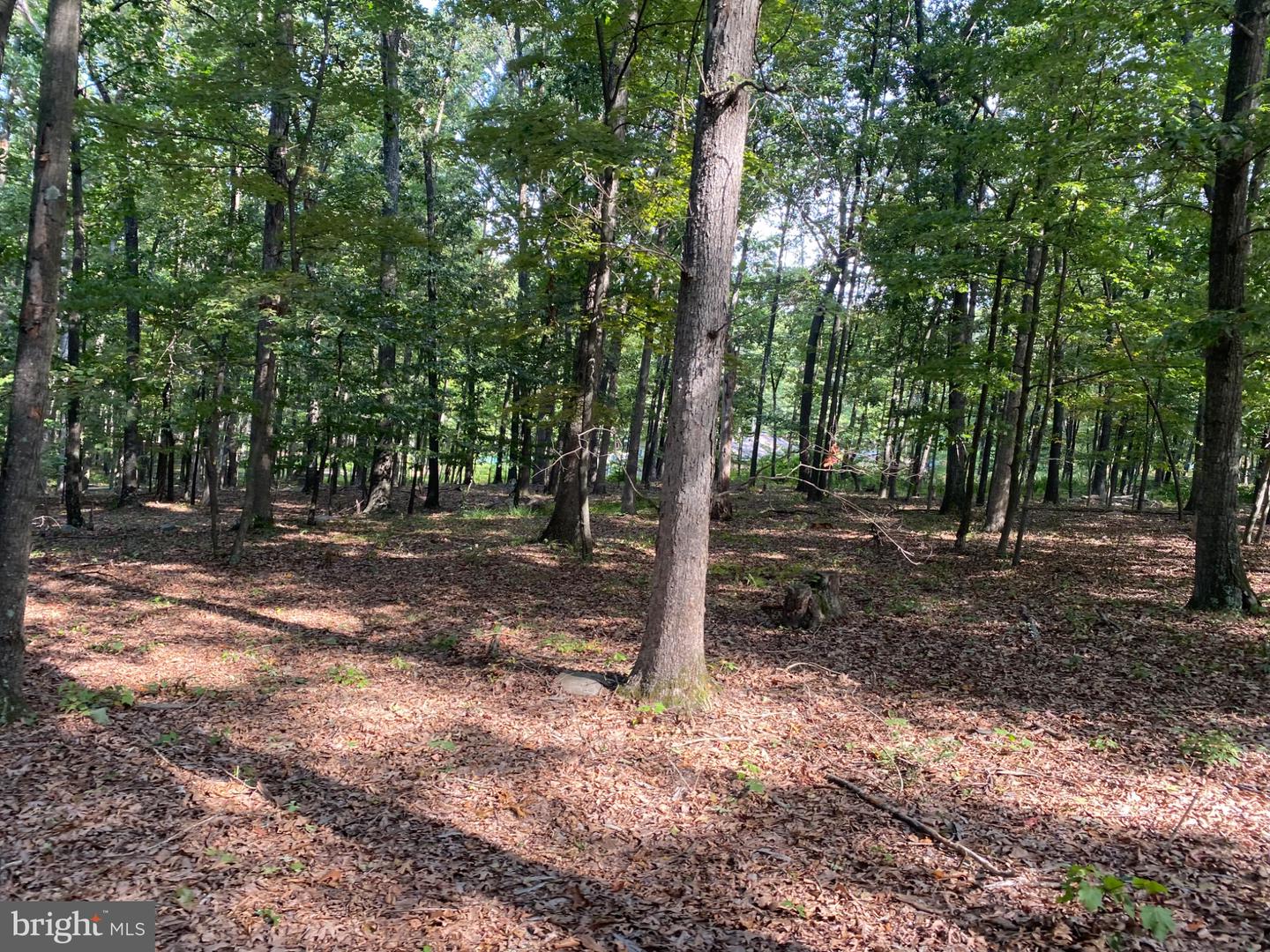6376 Spring Gap Rd Property Photo 13