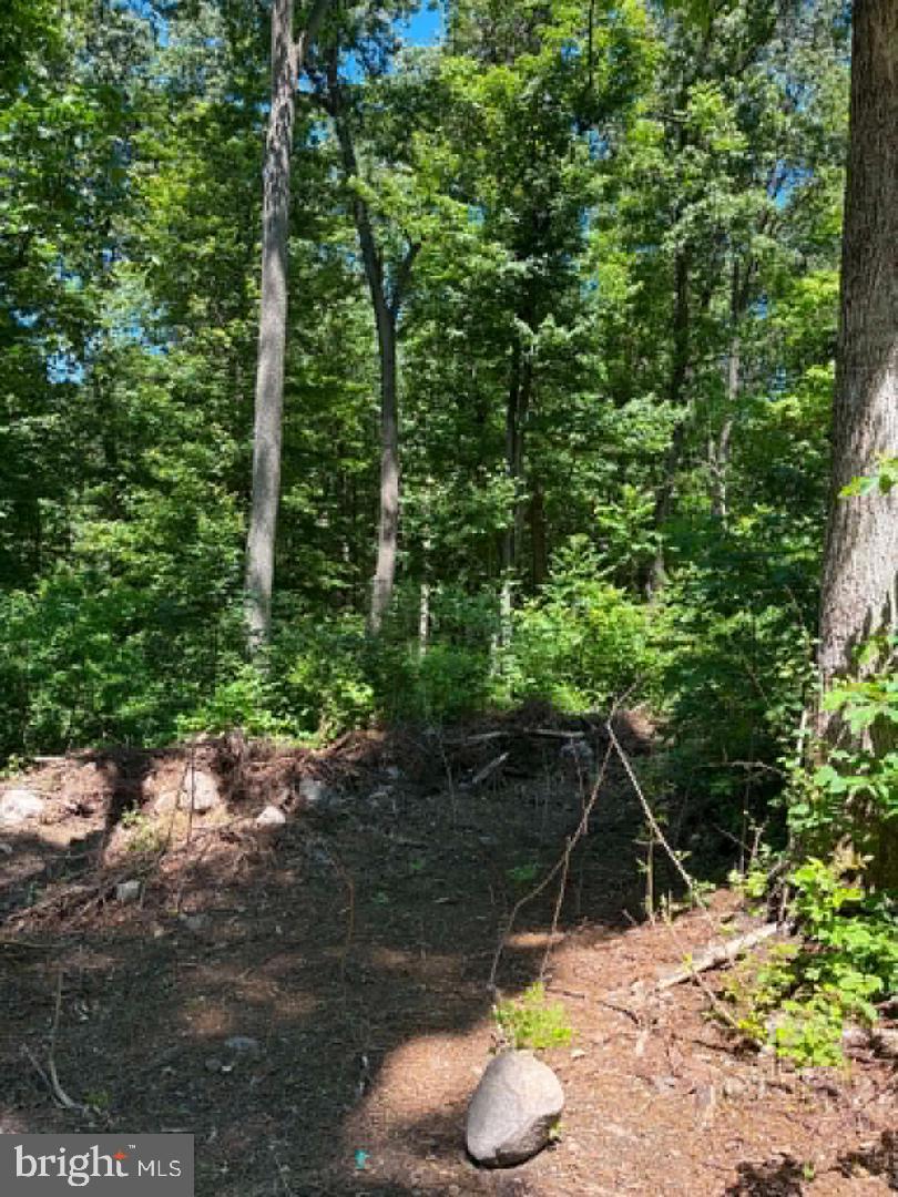 51 Cabin Rd Property Photo 4