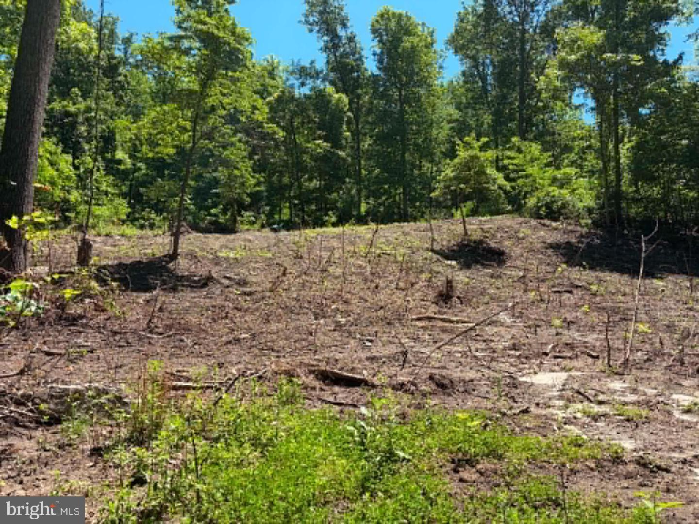 51 Cabin Rd Property Photo 6