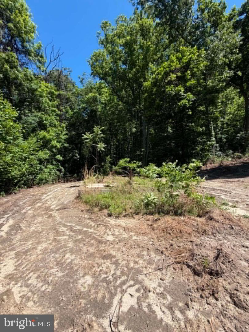 51 Cabin Rd Property Photo 18