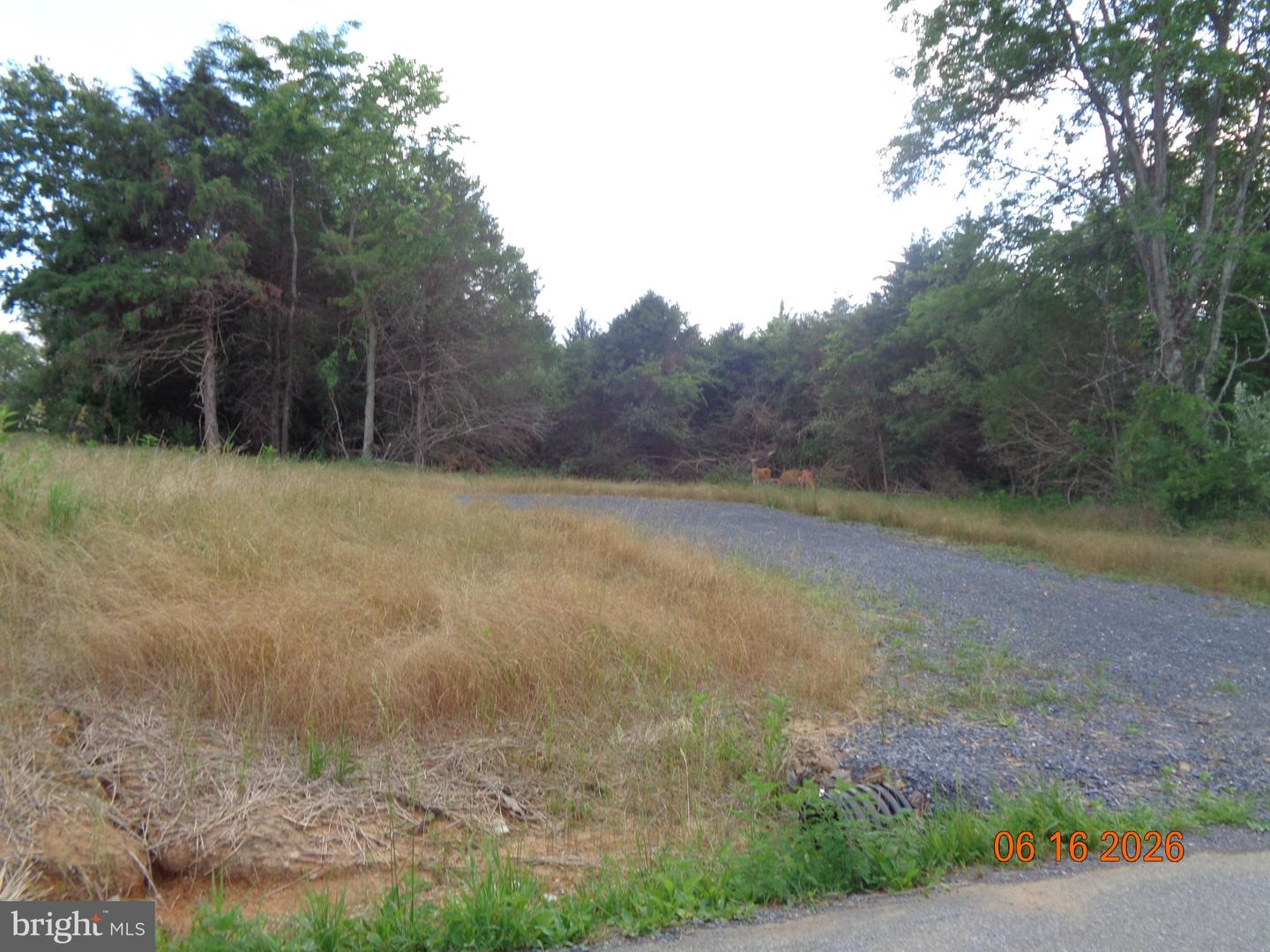 Lot 1 Martin Payne Rd Property Photo 1