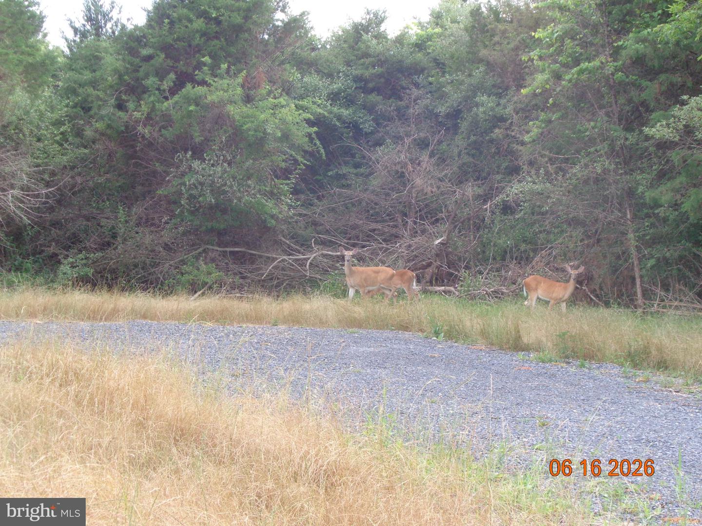 Lot 1 Martin Payne Rd Property Photo 2