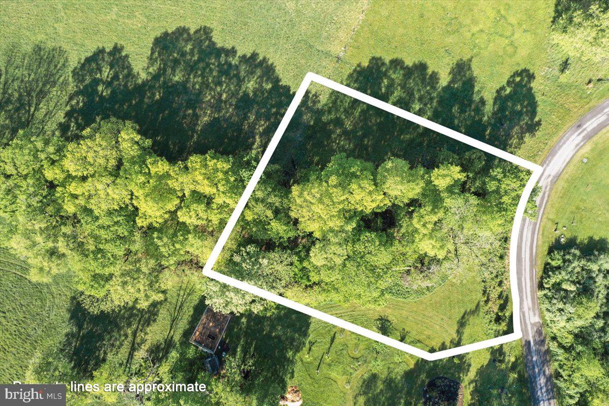 -lot 9 Briar Mountain Dr Property Photo 1