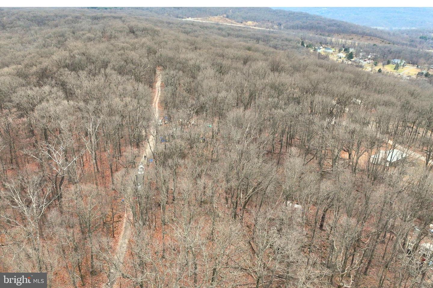 Hickory Nut Ln Property Photo 2