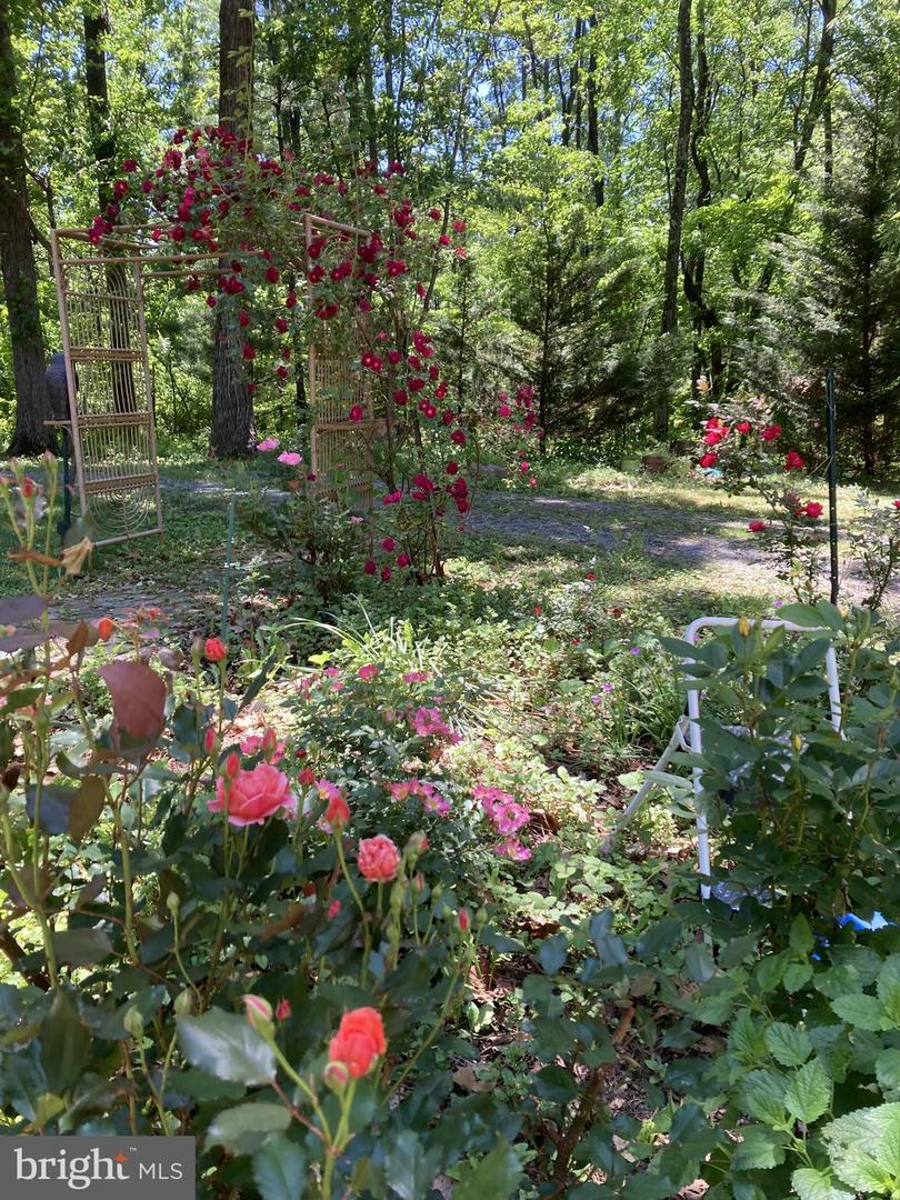 134 Kelcar Dr Property Photo 70