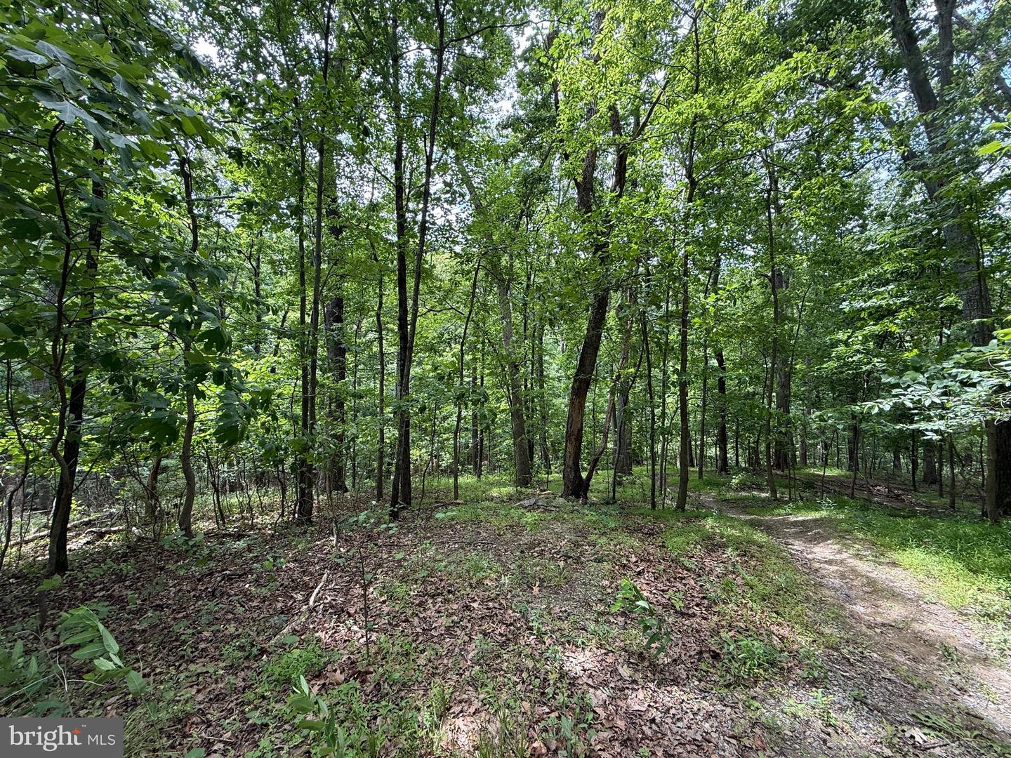 Mad Hatter Property Photo 1