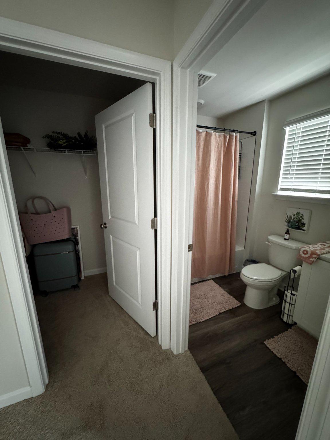 372 Atkinson St Property Photo 18