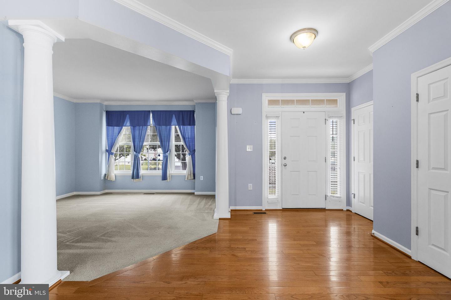 1207 Stallion St Property Photo 14