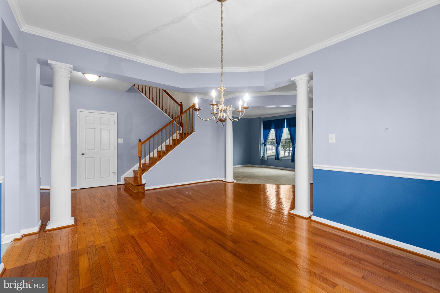 1207 Stallion St Property Photo 18