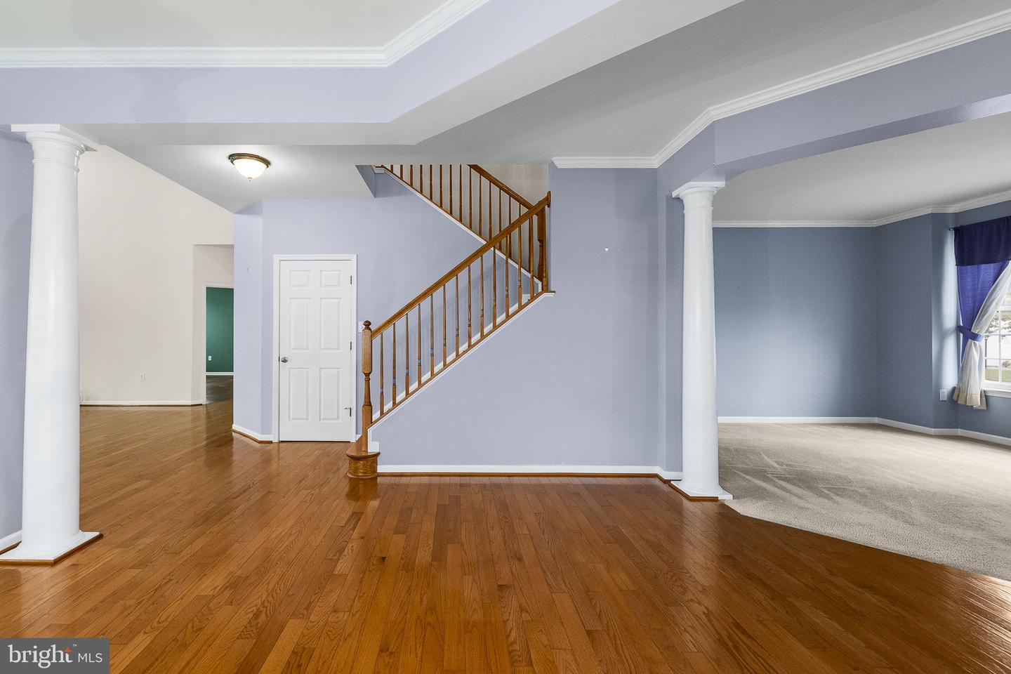 1207 Stallion St Property Photo 37