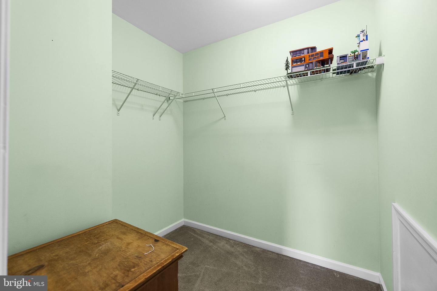 1207 Stallion St Property Photo 63