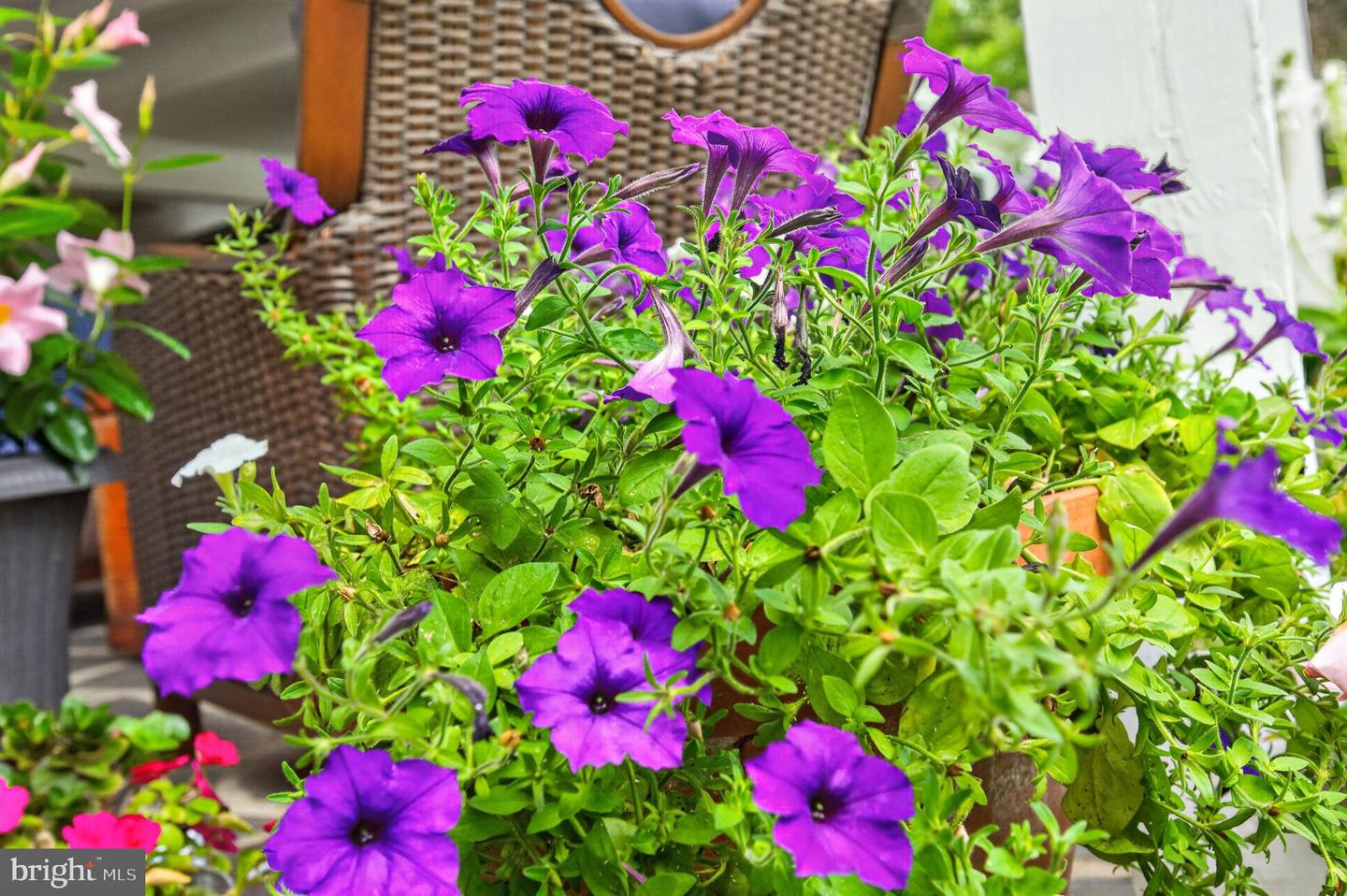 102 N Duke St Property Photo 81