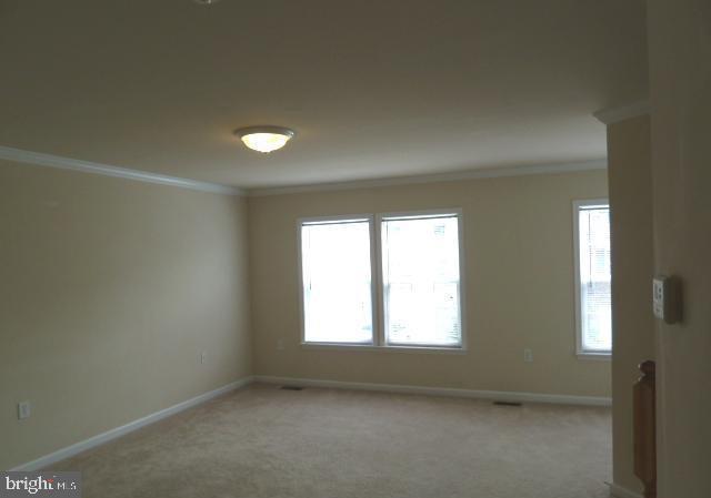 73 Eldon Dr Property Photo 3