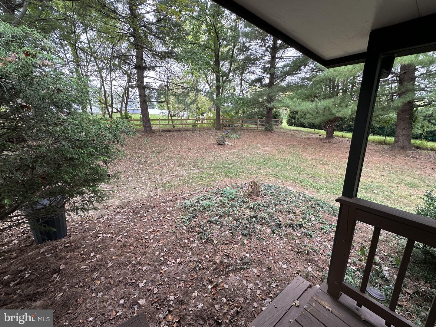 91 Hickorywood Court Property Photo 20