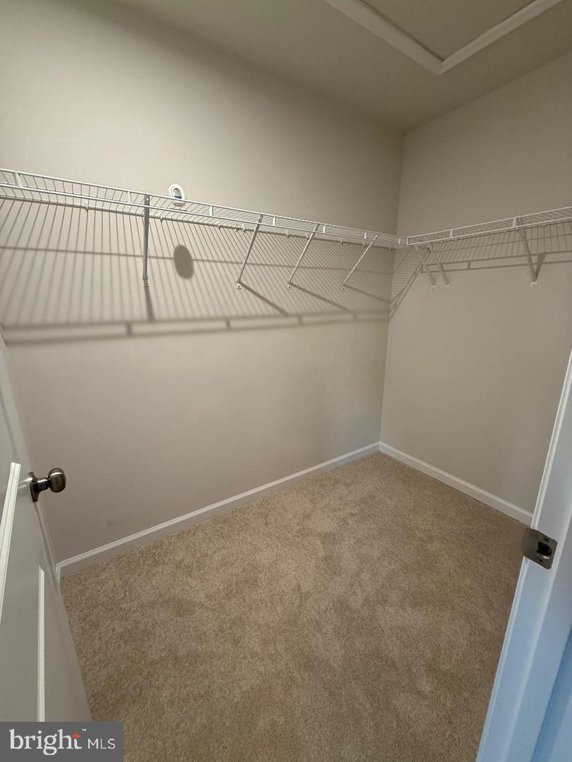 179 Olympus Rd Property Photo 14